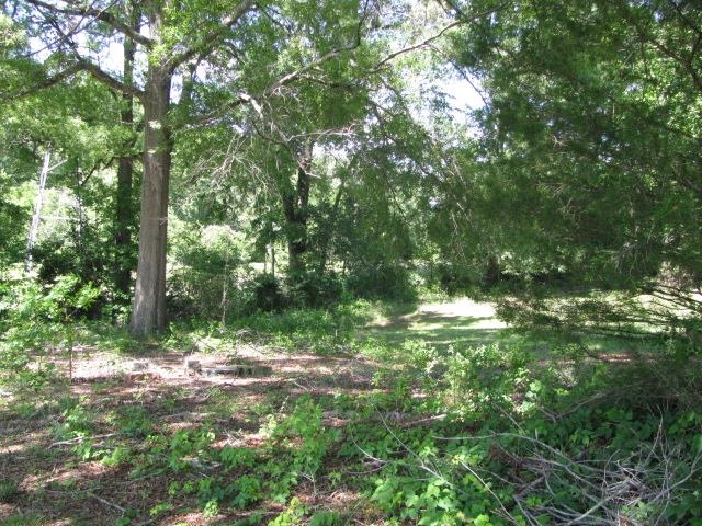 114 Jenkins Street, Union, South Carolina image 24