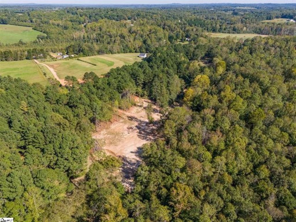 207 Lister Road, Landrum, South Carolina image 13