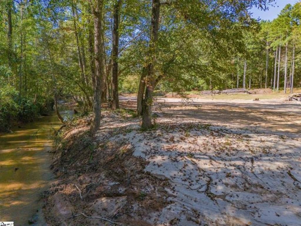 207 Lister Road, Landrum, South Carolina image 12