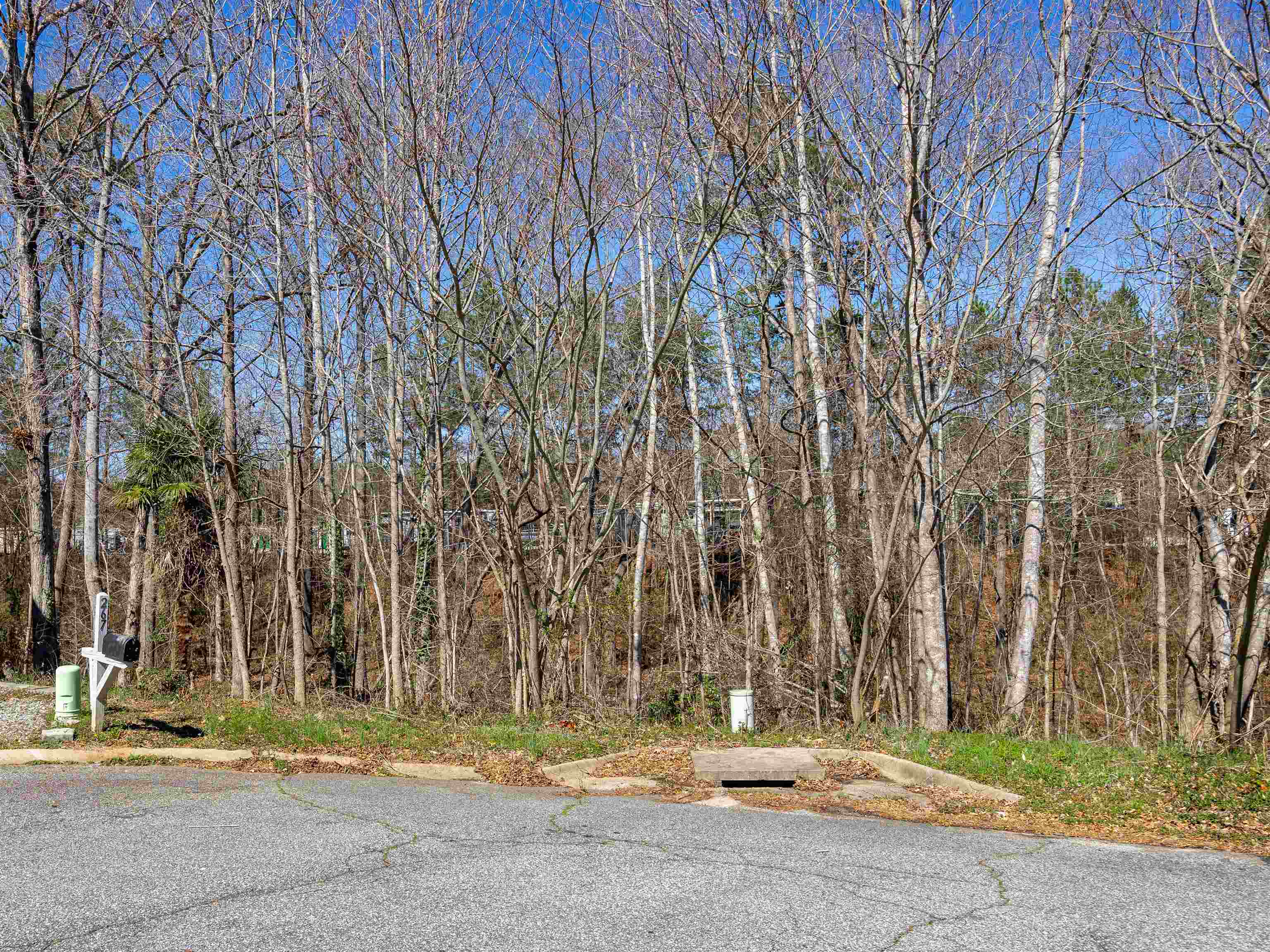 271 Upper Beaver Creek Drive, Moore, South Carolina image 4
