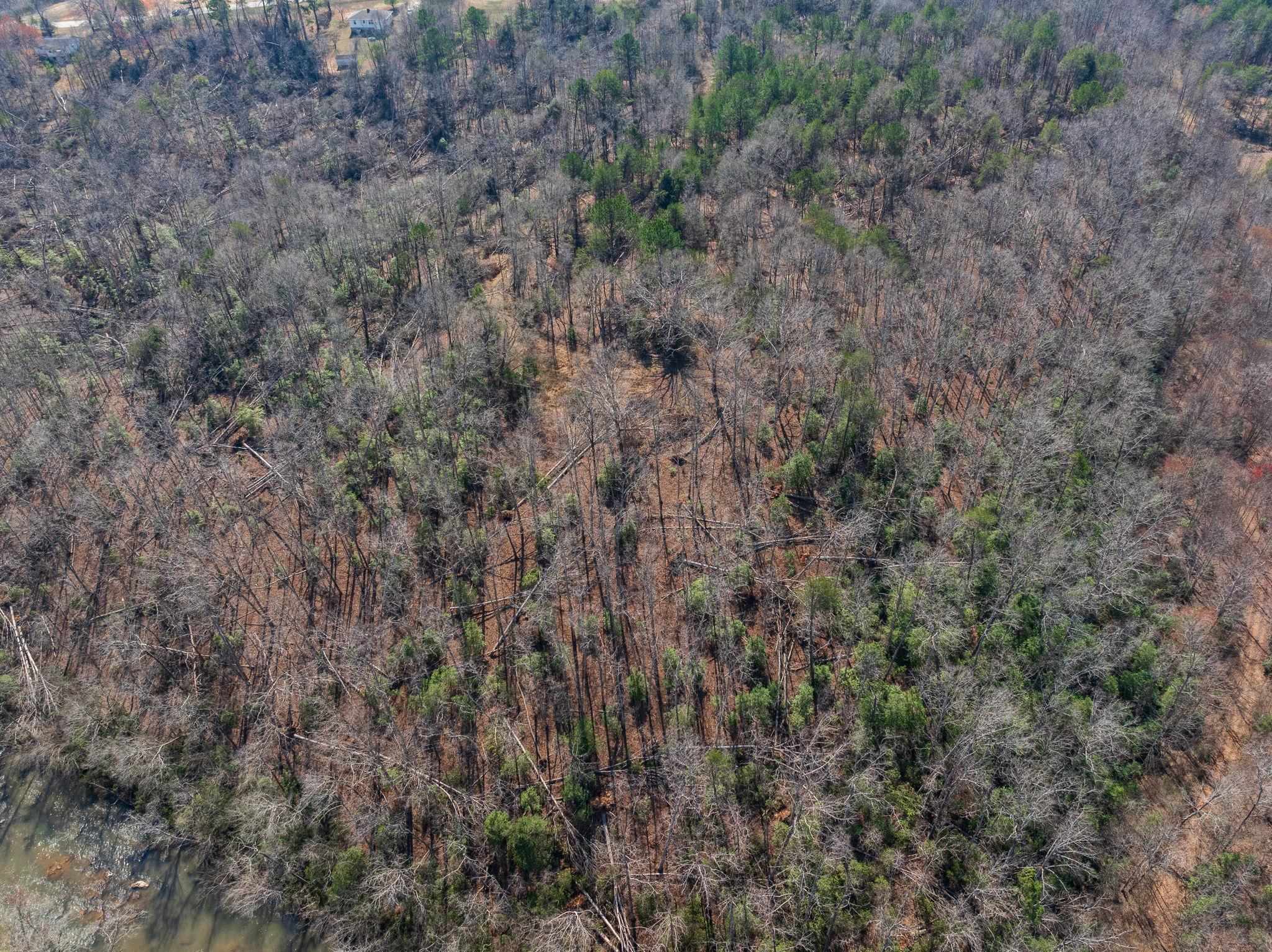 00 Rainbow Lake Road, Inman, South Carolina image 15