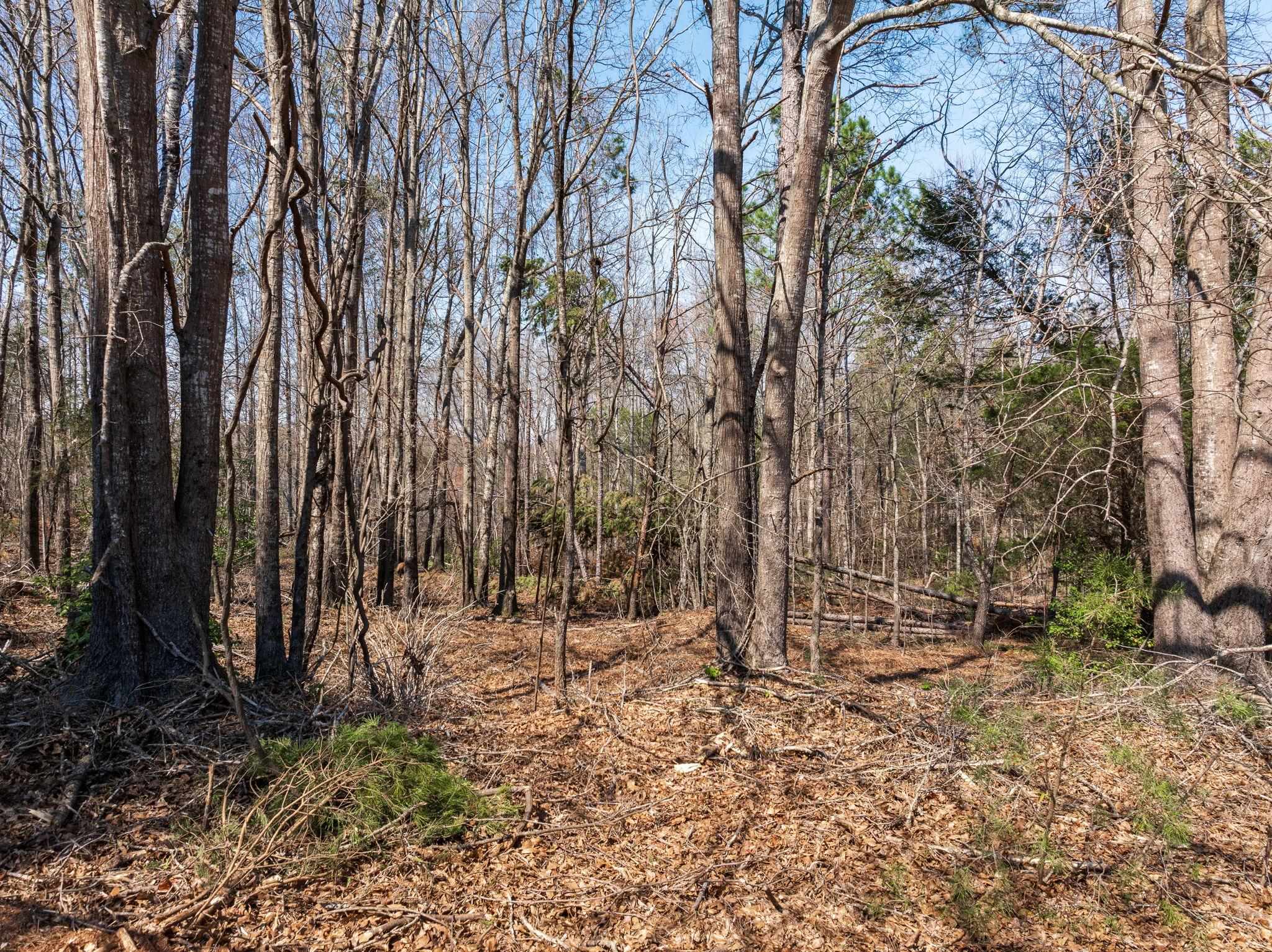 00 Rainbow Lake Road, Inman, South Carolina image 8