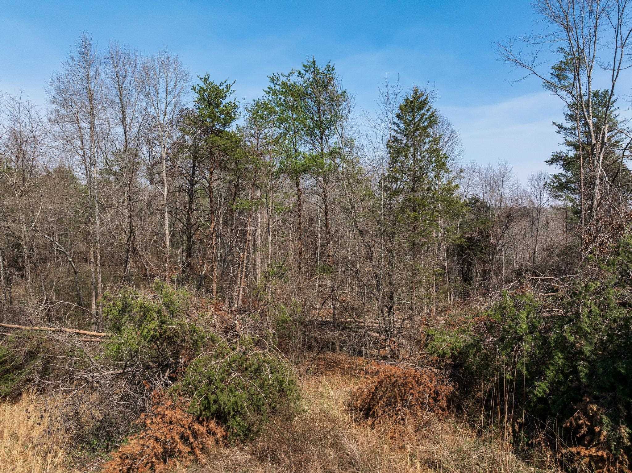 00 Rainbow Lake Road, Inman, South Carolina image 7