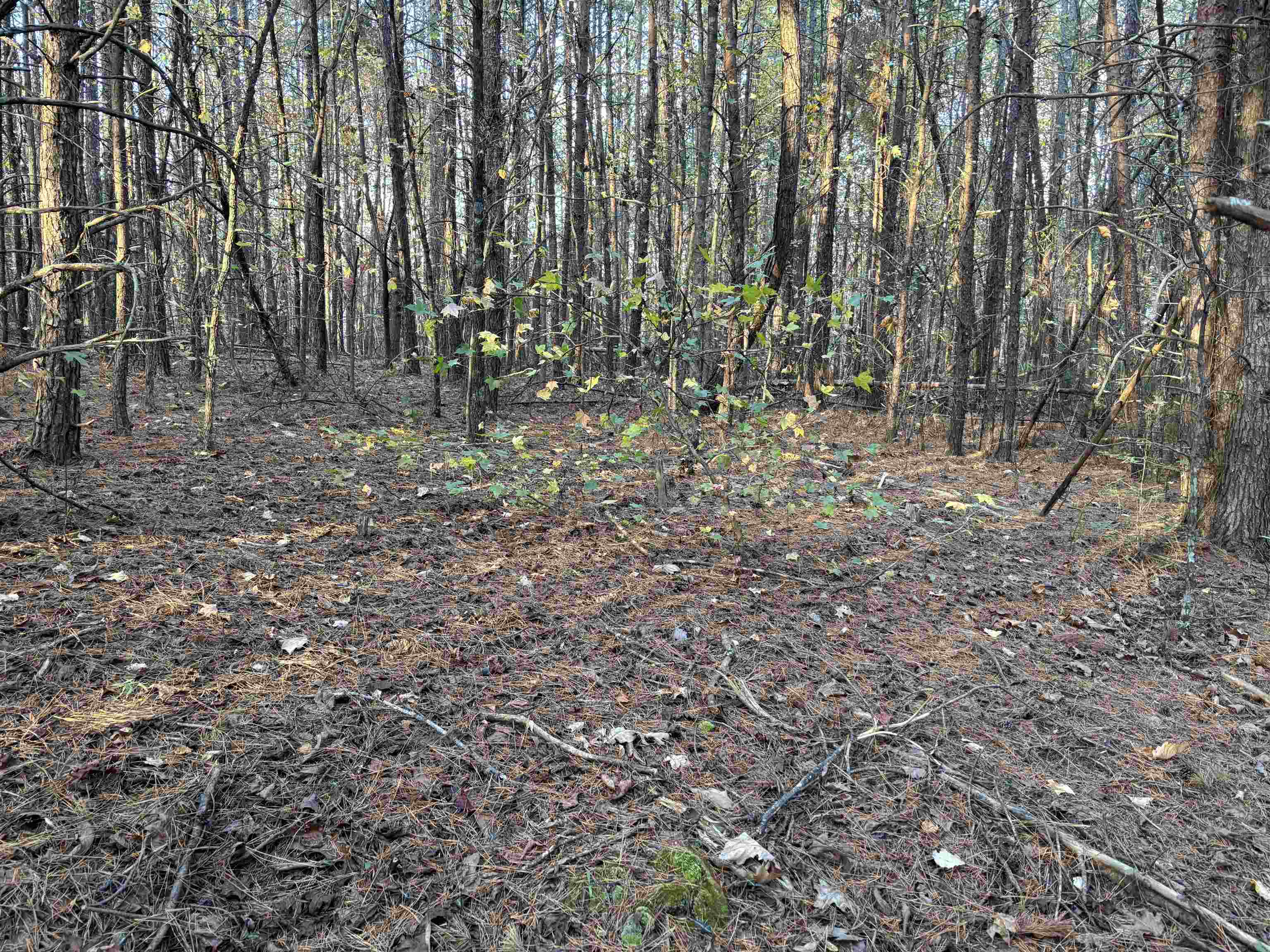1940 Pleasant Hill Road, Greer, South Carolina image 3