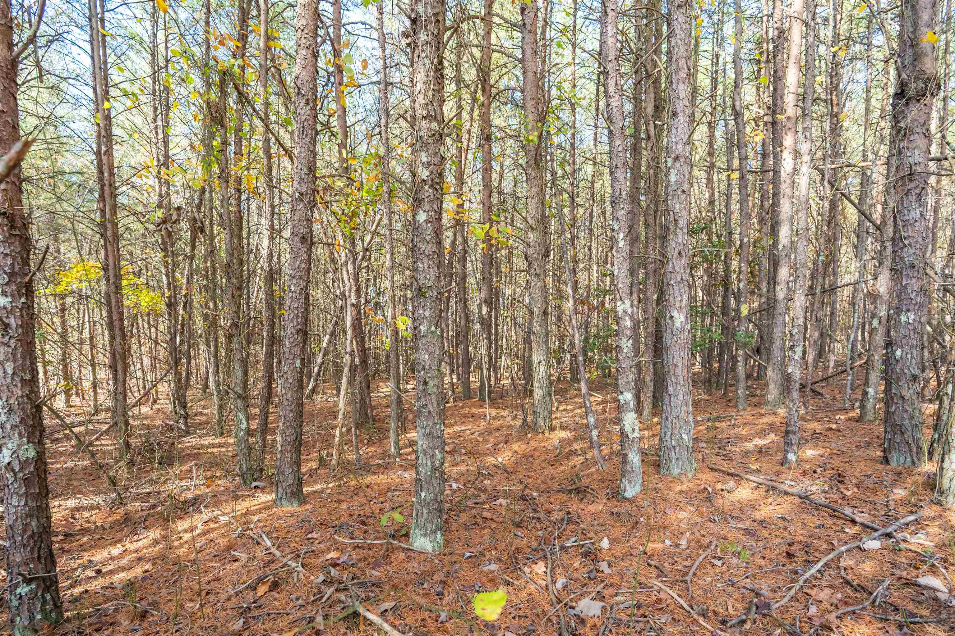 1940 Pleasant Hill Road, Greer, South Carolina image 1