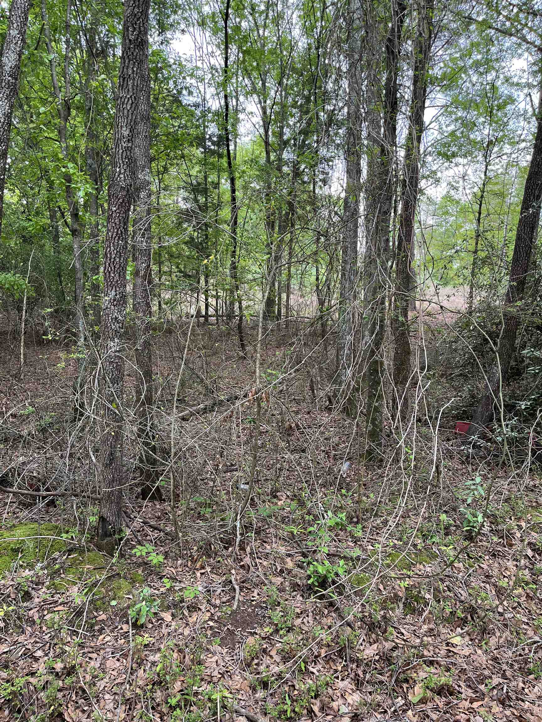 250 Leeds Lane, Spartanburg, South Carolina image 3