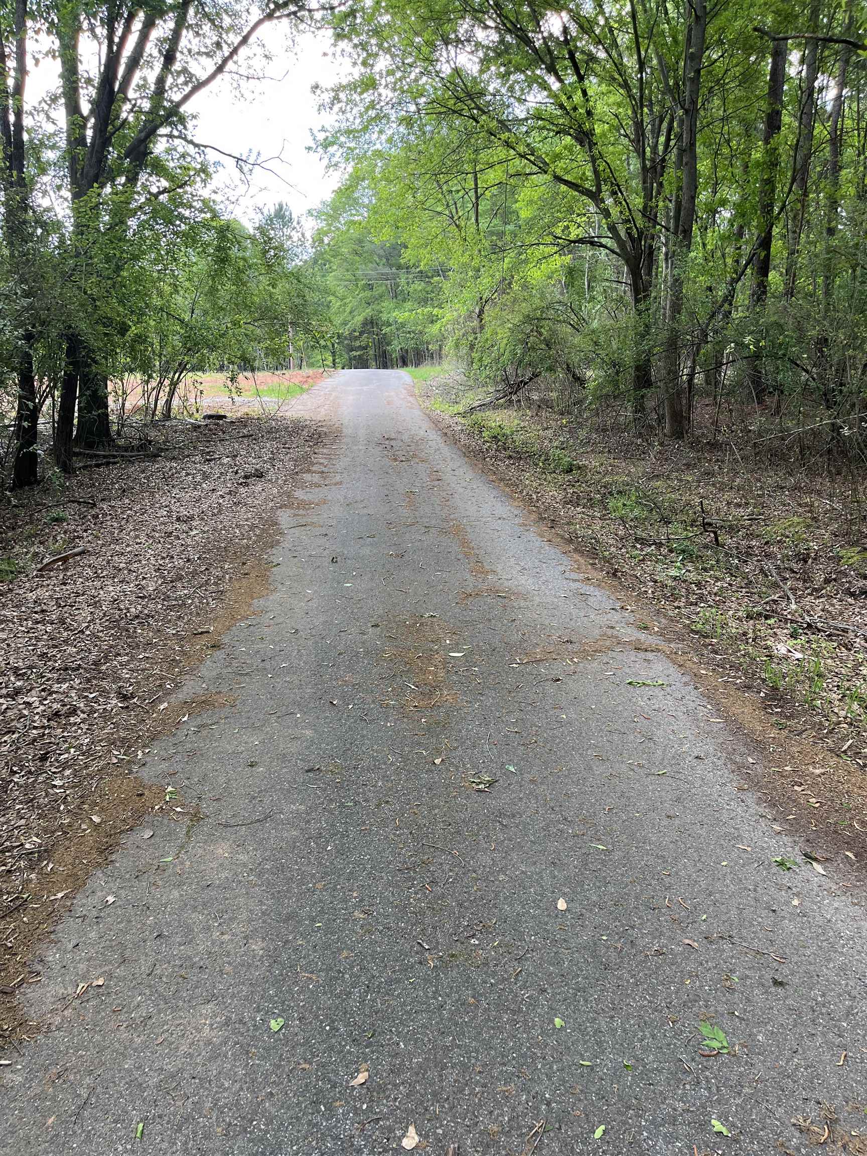 250 Leeds Lane, Spartanburg, South Carolina image 2