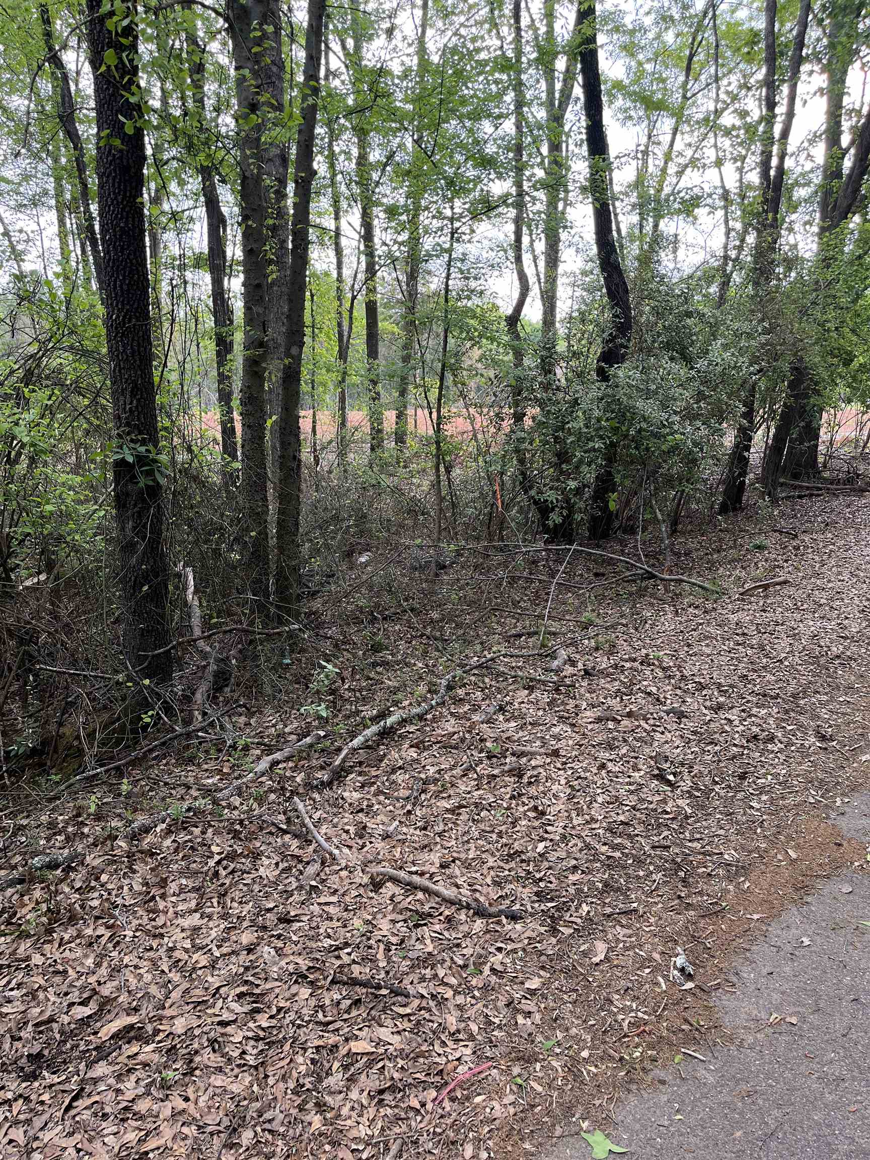 250 Leeds Lane, Spartanburg, South Carolina image 1