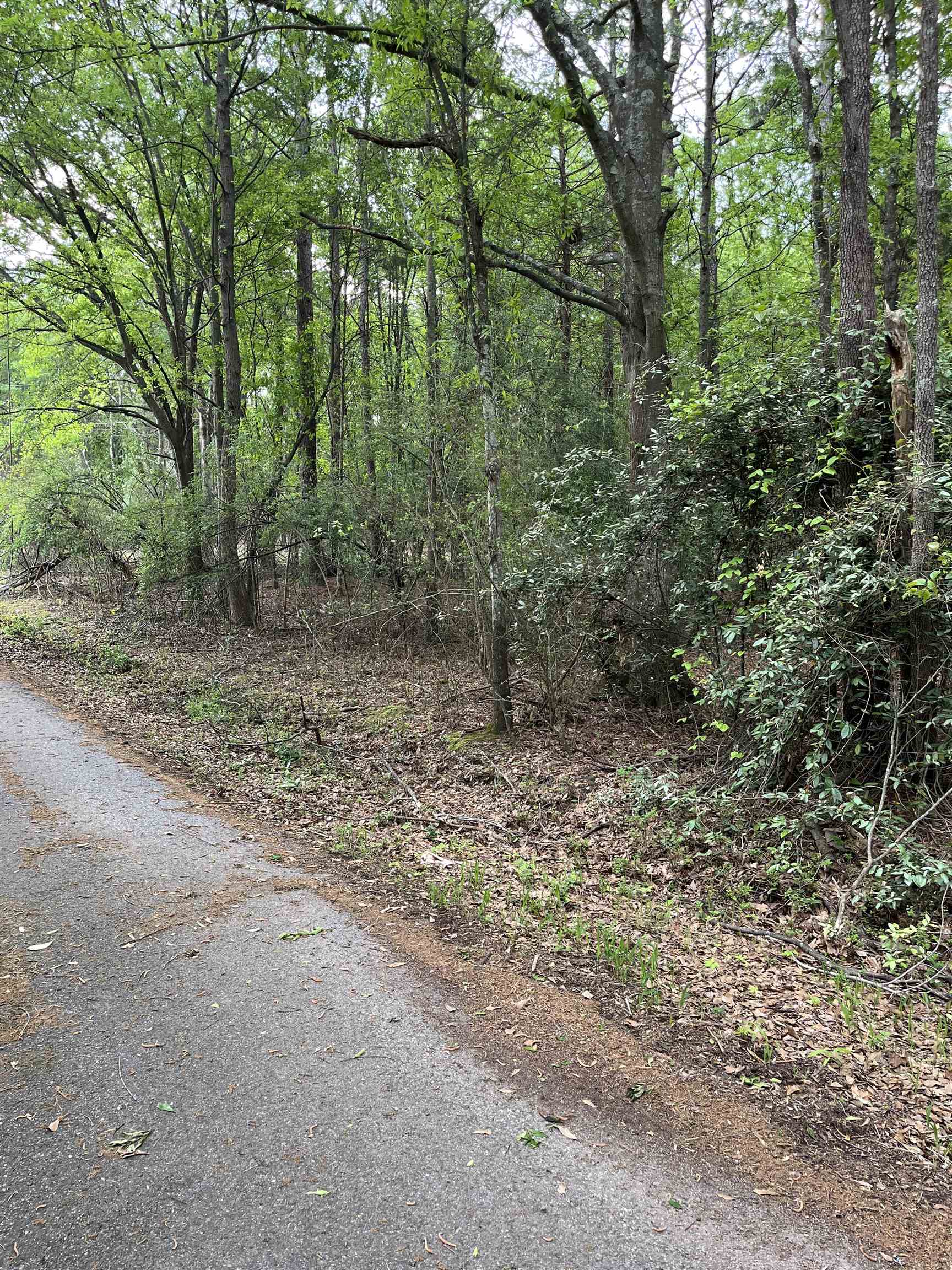 250 Leeds Lane, Spartanburg, South Carolina image 5