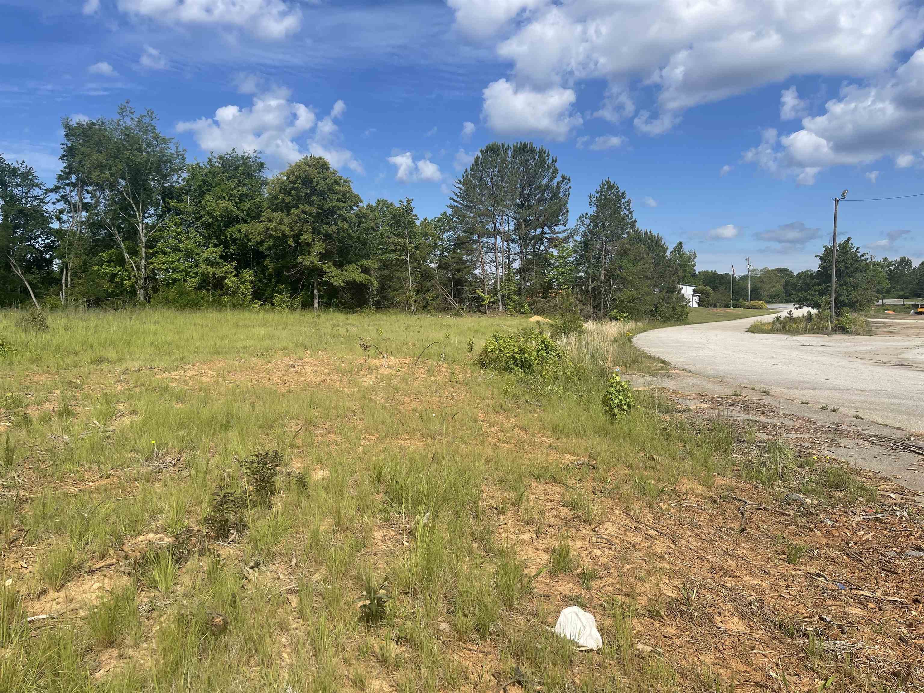 Stan Perkins Road, Spartanburg, South Carolina image 1