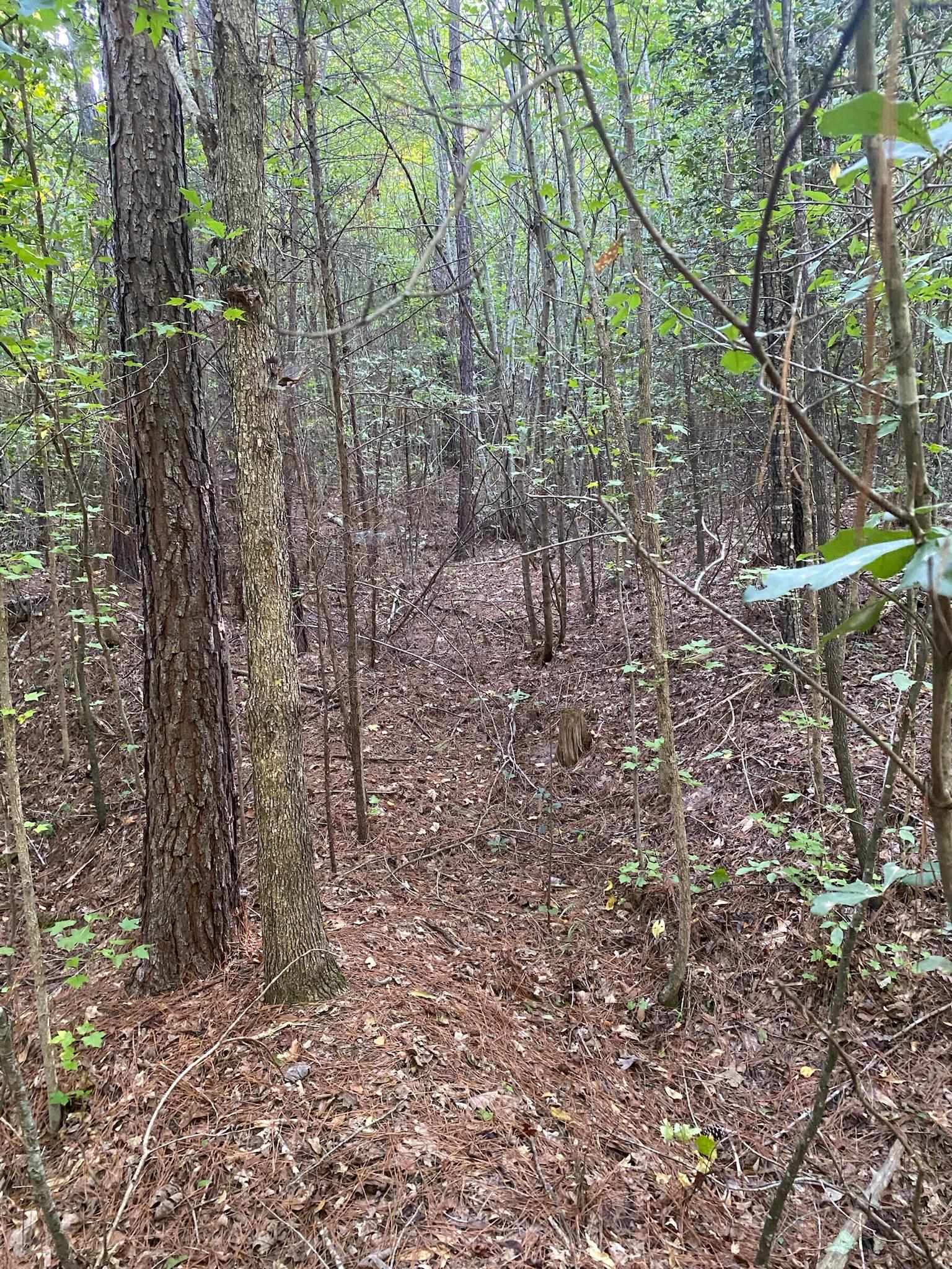 Frontier Road, Enoree, South Carolina image 1