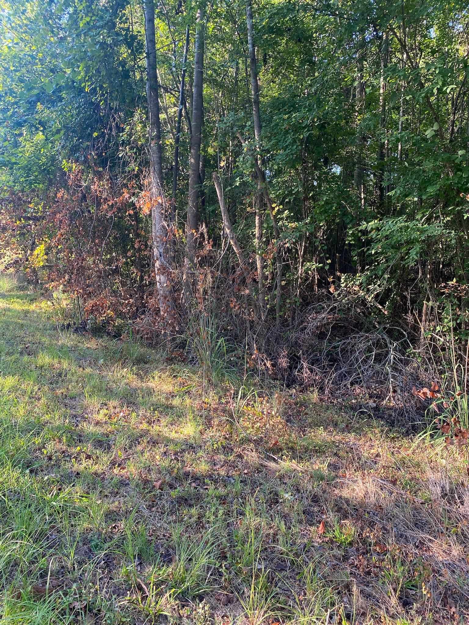Frontier Road, Enoree, South Carolina image 2