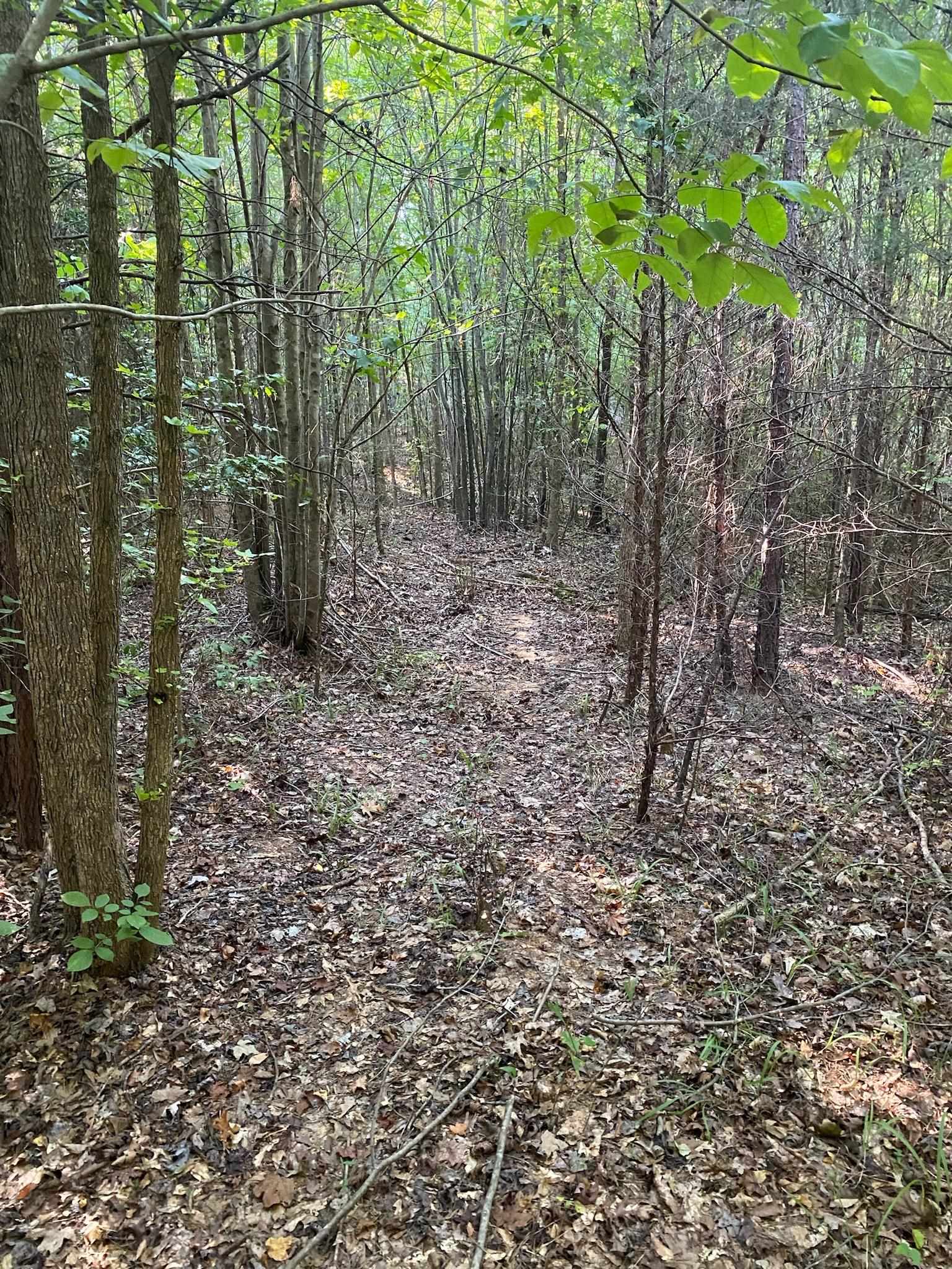 Frontier Road, Enoree, South Carolina image 4