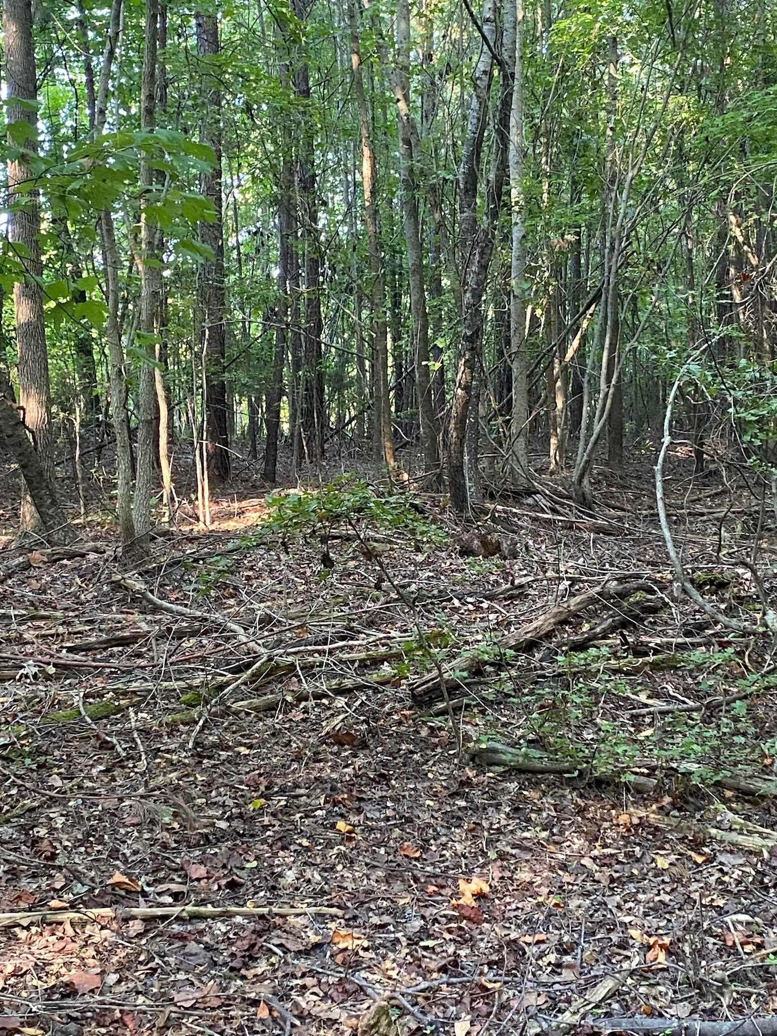 Frontier Road, Enoree, South Carolina image 3