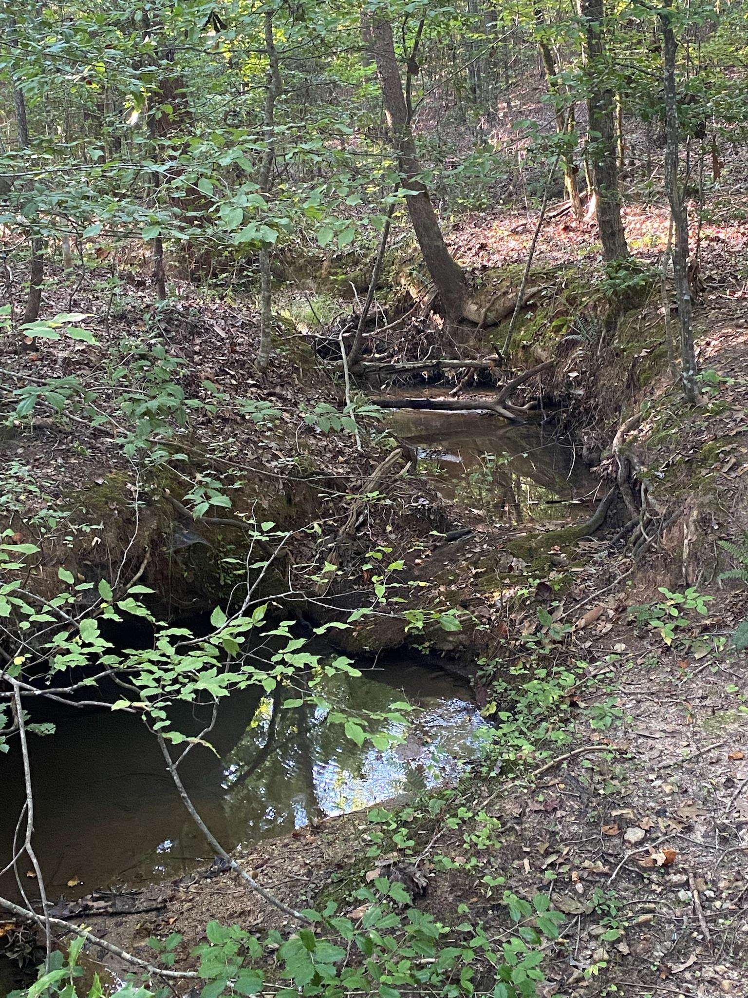 Frontier Road, Enoree, South Carolina image 5