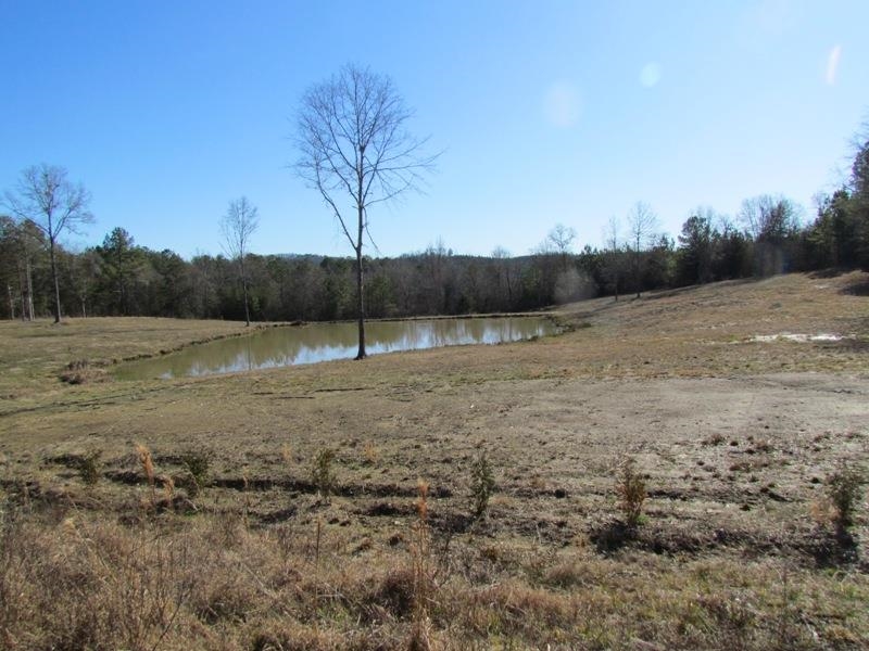 794 Ford Road, Gaffney, South Carolina image 16