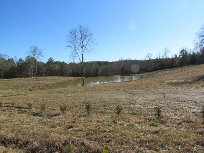 794 Ford Road, Gaffney, South Carolina image 13