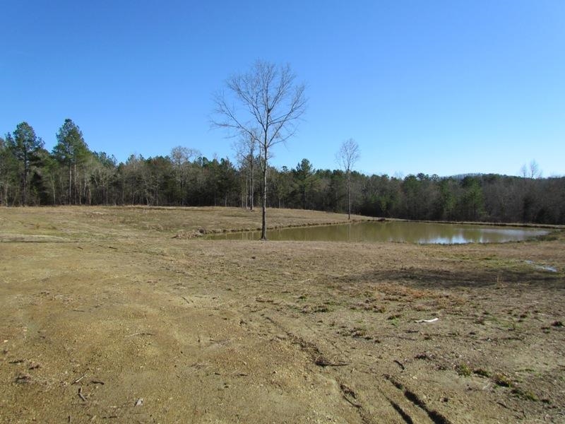 794 Ford Road, Gaffney, South Carolina image 10