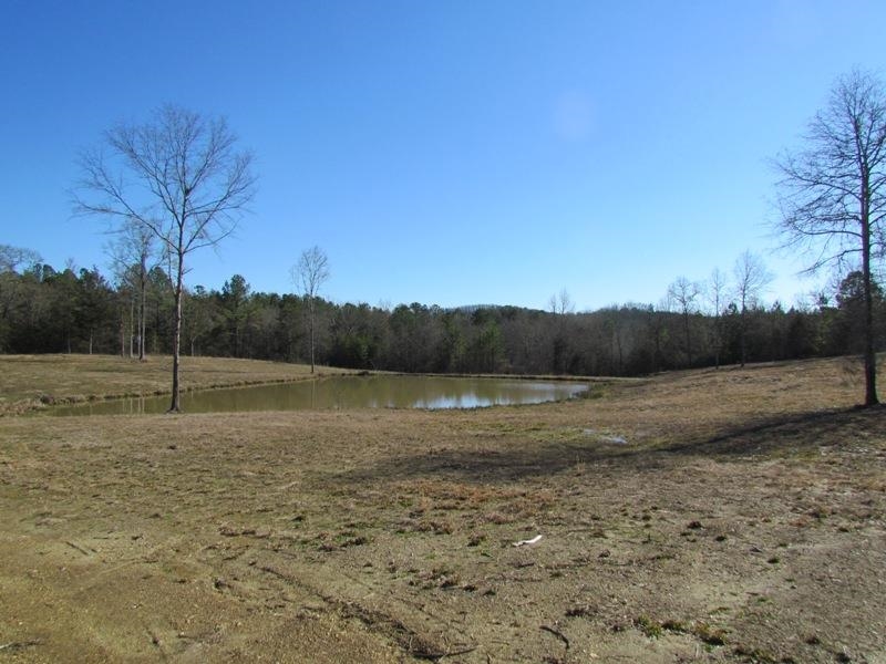 794 Ford Road, Gaffney, South Carolina image 12