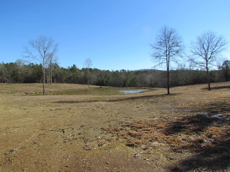794 Ford Road, Gaffney, South Carolina image 6