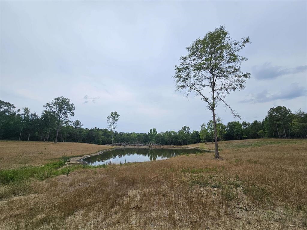 794 Ford Road, Gaffney, South Carolina image 1