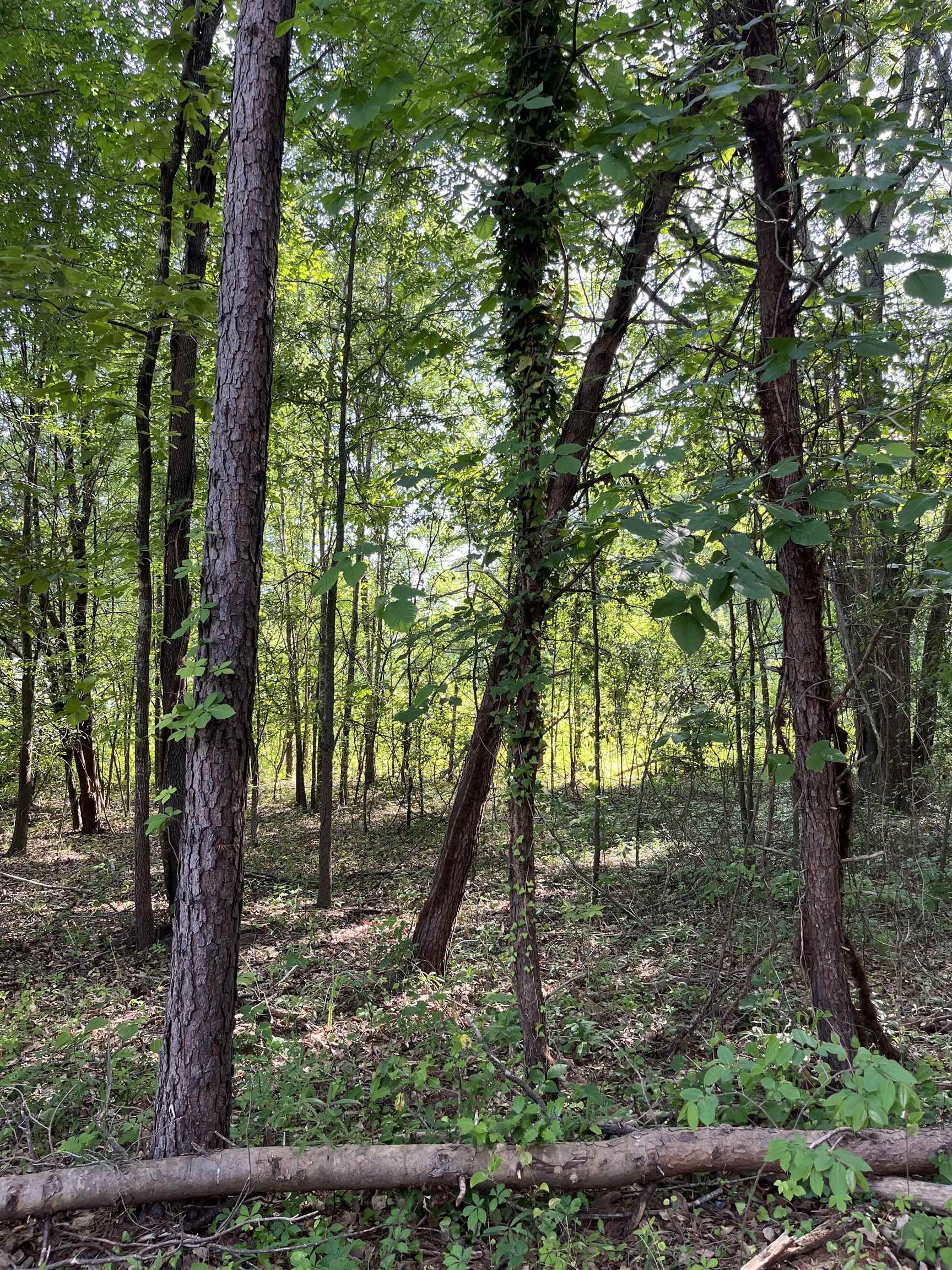 00 Lake Vista Drive, Lyman, South Carolina image 3