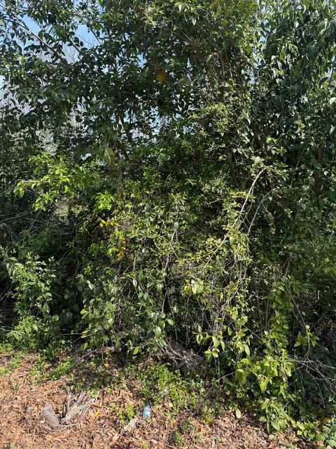 Vacant Land For Sale - 234 Appian Drive<br/> Spartanburg County, Spartanburg, SC 29306