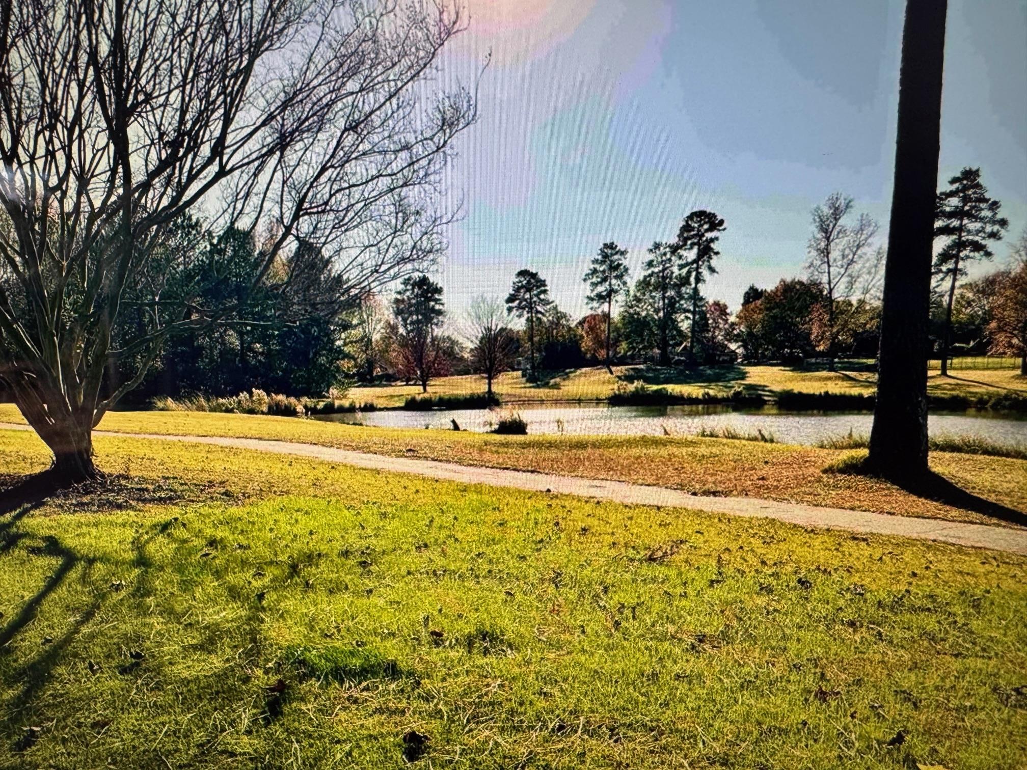 809 Waterwalk Court, Duncan, South Carolina image 41