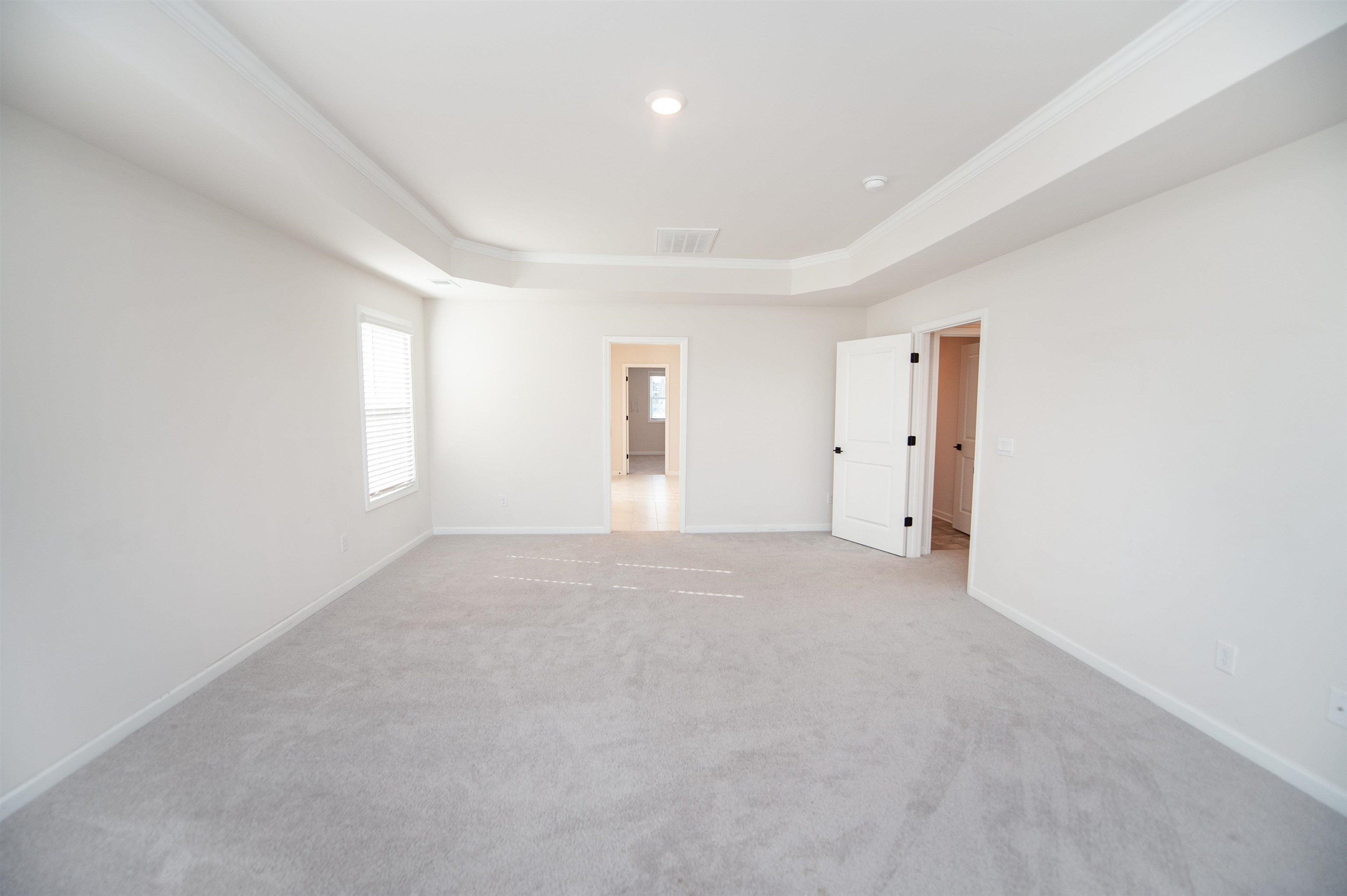 599 Fox Run Trail, Woodruff, South Carolina image 23