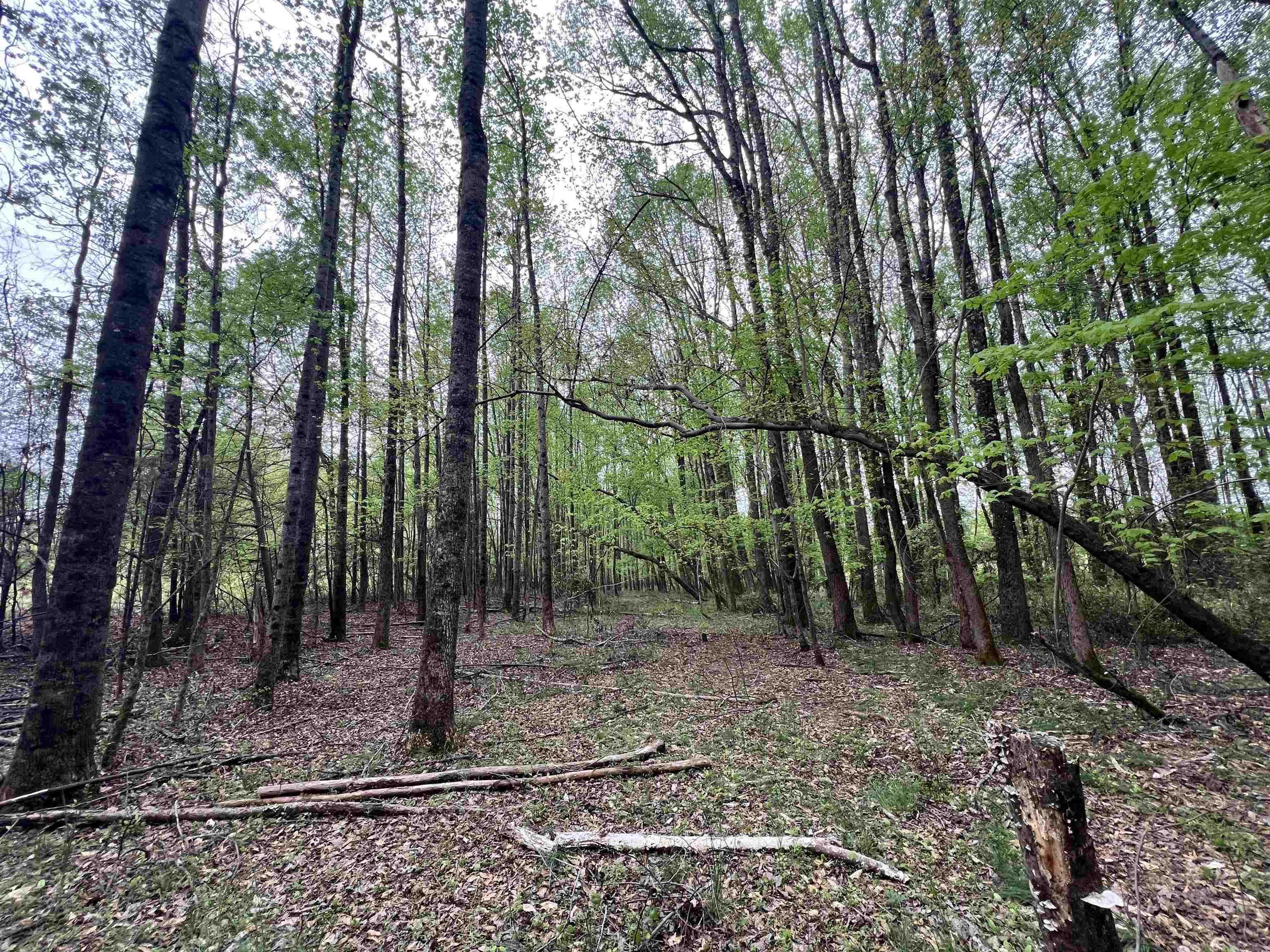 639 Settle Road, Inman, South Carolina image 7