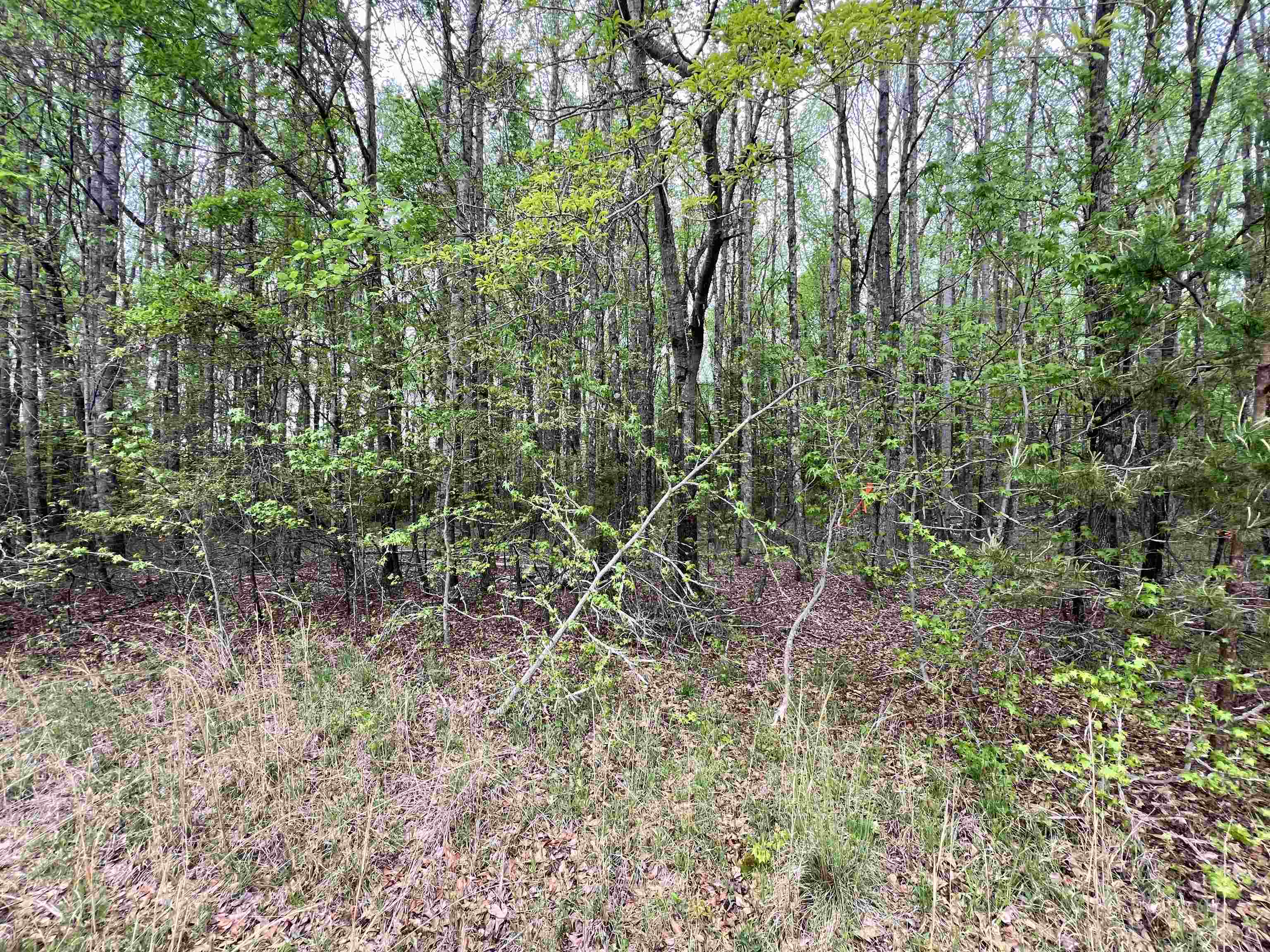 639 Settle Road, Inman, South Carolina image 4