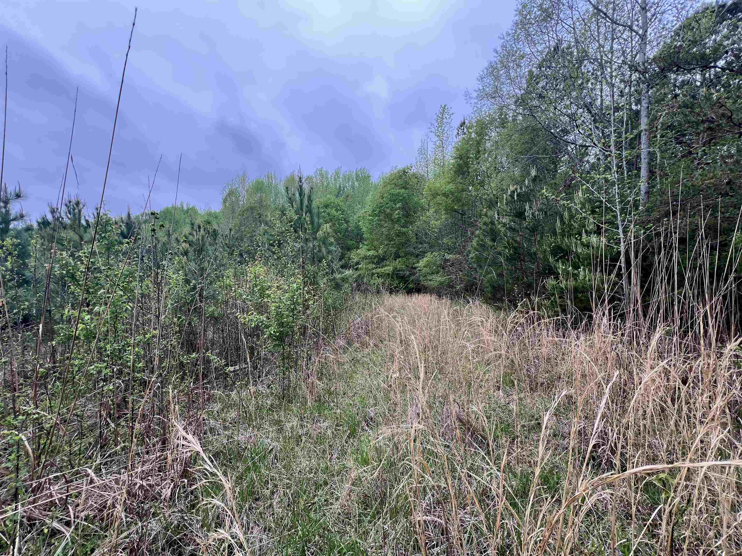 639 Settle Road, Inman, South Carolina image 3