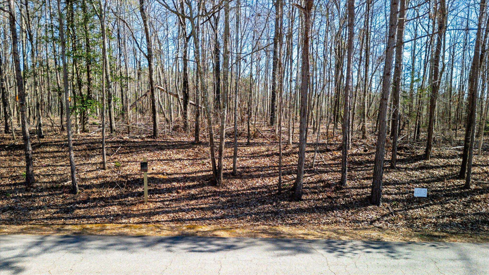 Lot 3 Broken Arrow Drive, Pelzer, South Carolina image 4