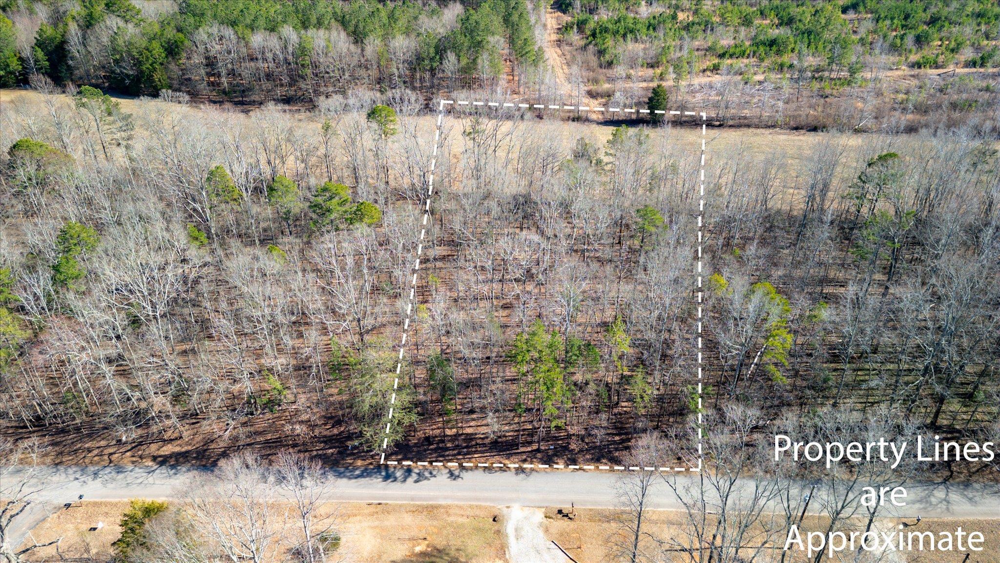 Lot 3 Broken Arrow Drive, Pelzer, South Carolina image 1