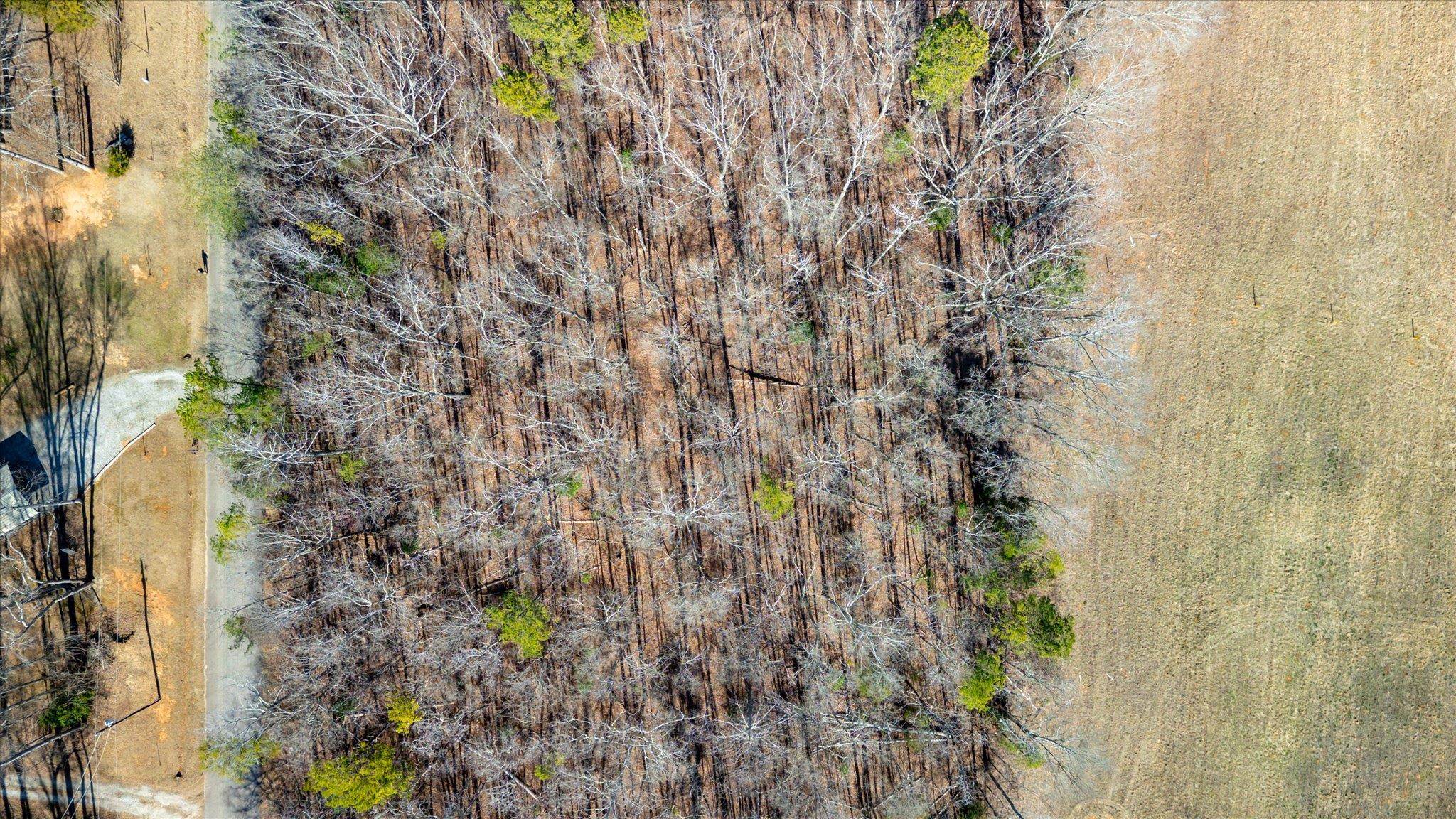 Lot 3 Broken Arrow Drive, Pelzer, South Carolina image 3