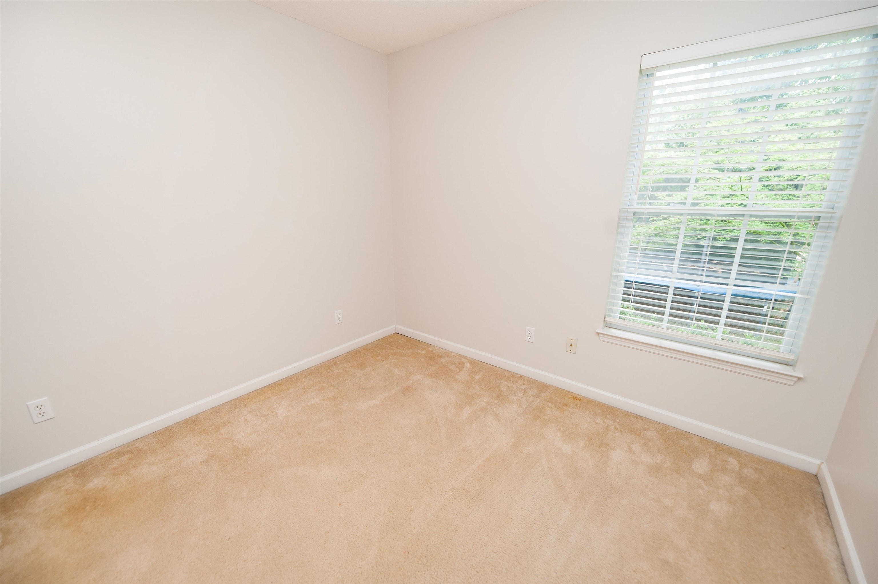 506 Indigo Springs Run, Spartanburg, South Carolina image 17