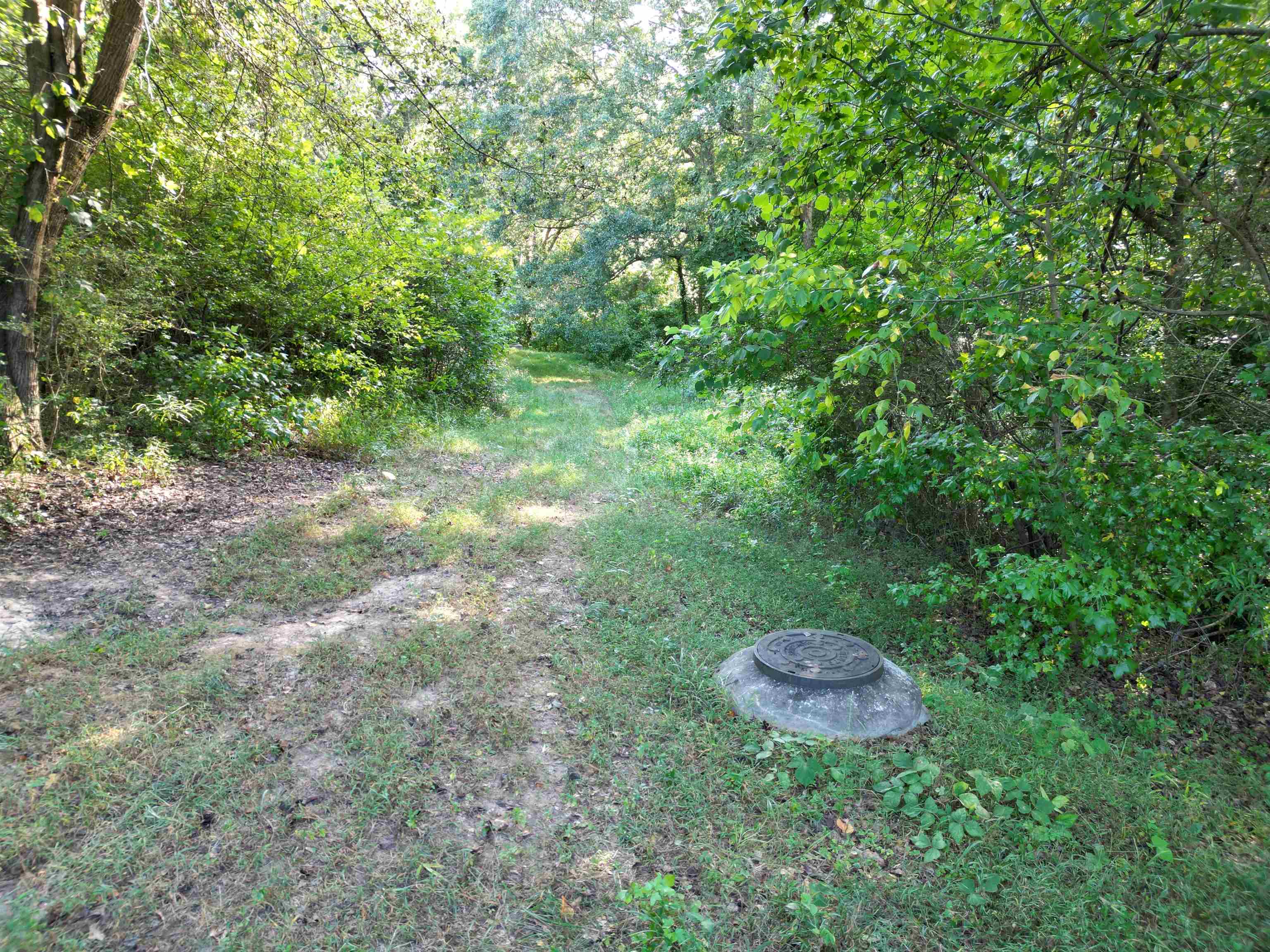 Pepper Street, Central, South Carolina image 3