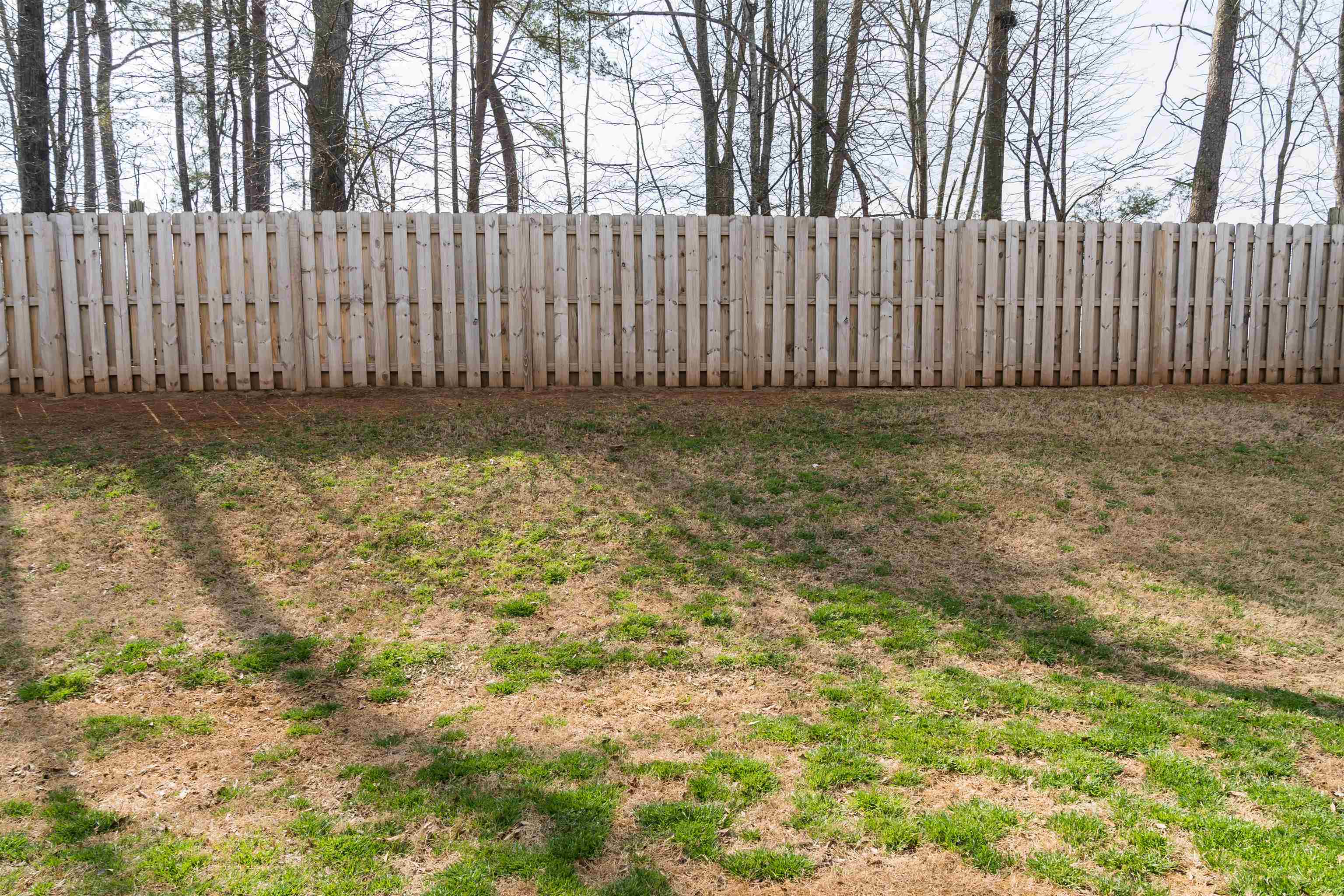 637 Grays Creek Road, Spartanburg, South Carolina image 37