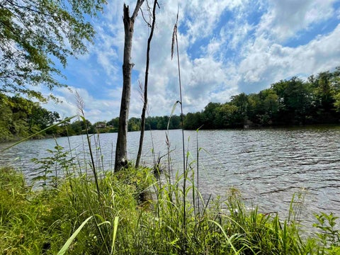 Vacant Land For Sale - 131 Timberlake Drive<br/> Inman, SC 29349