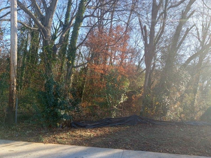 00 Broadview Drive, Spartanburg, South Carolina image 4