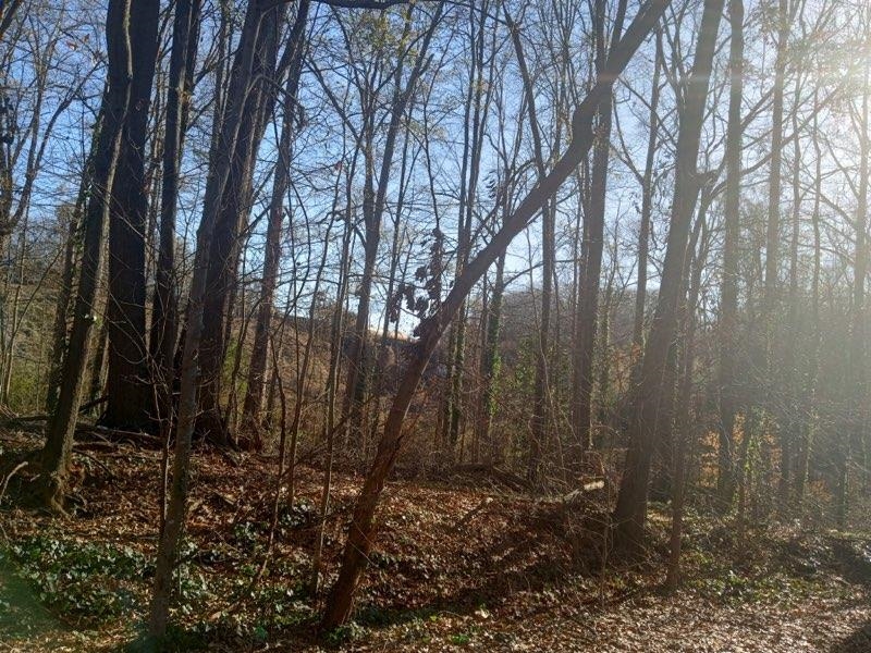 00 Broadview Drive, Spartanburg, South Carolina image 2