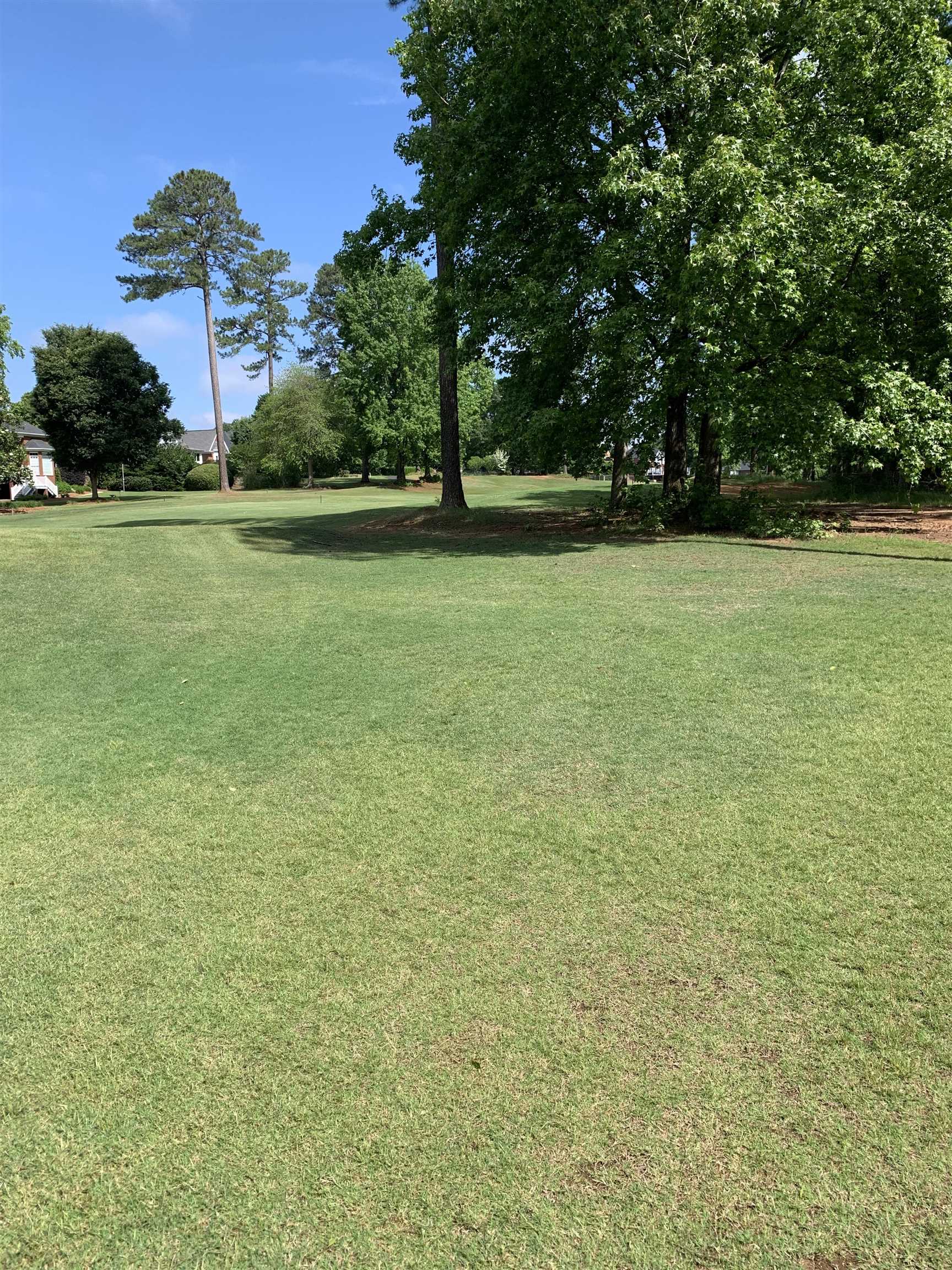 397 Tournament Point, Duncan, South Carolina image 11