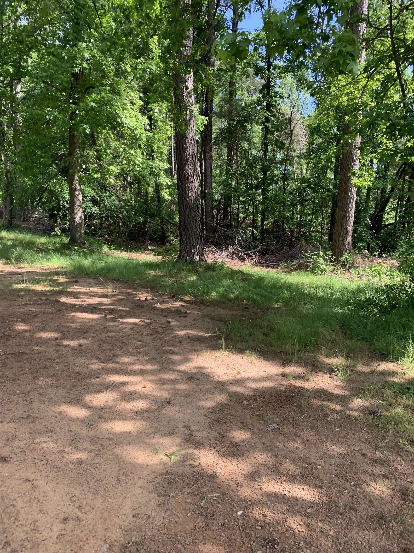 397 Tournament Point, Duncan, South Carolina image 15