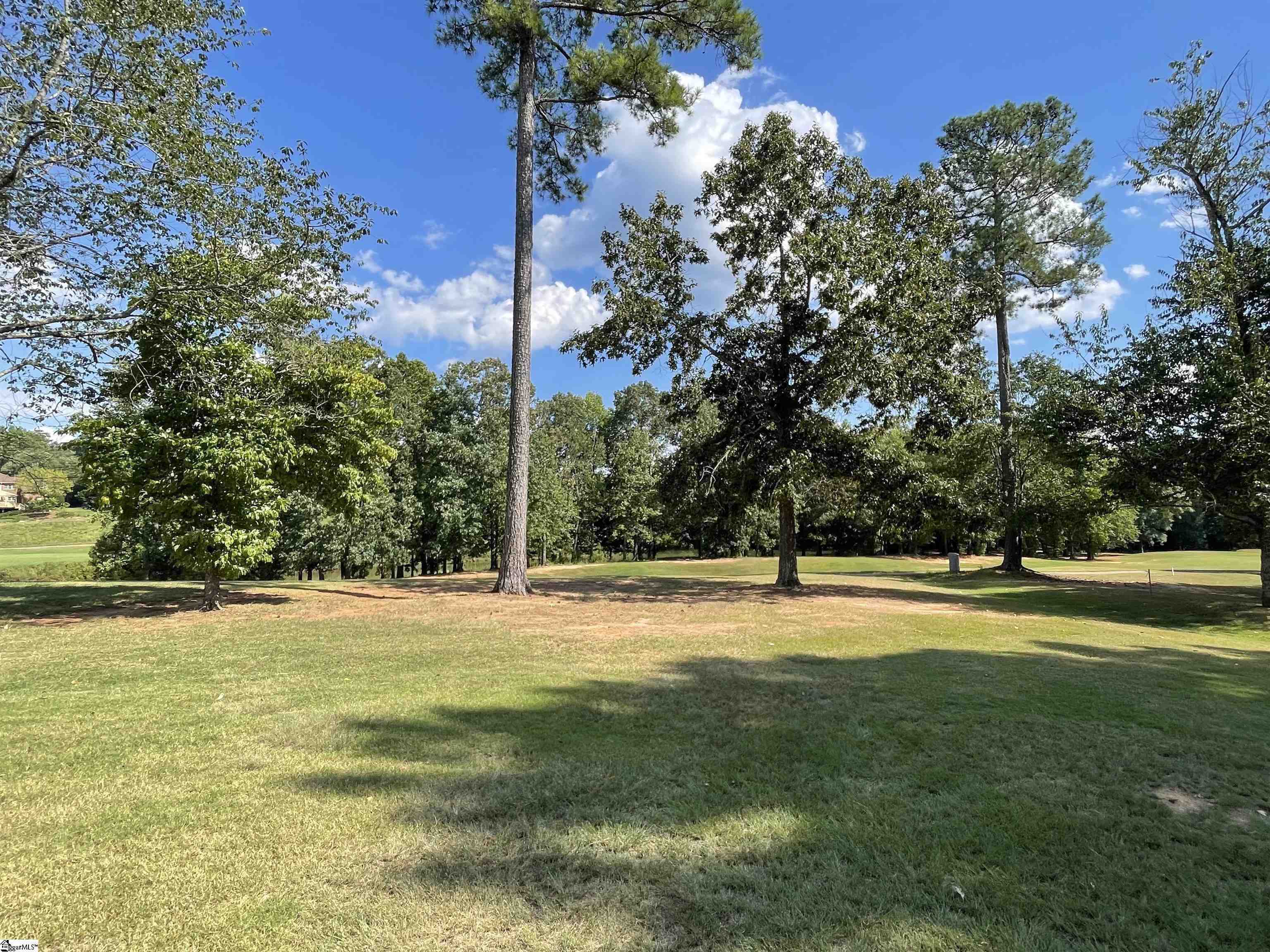 397 Tournament Point, Duncan, South Carolina image 5