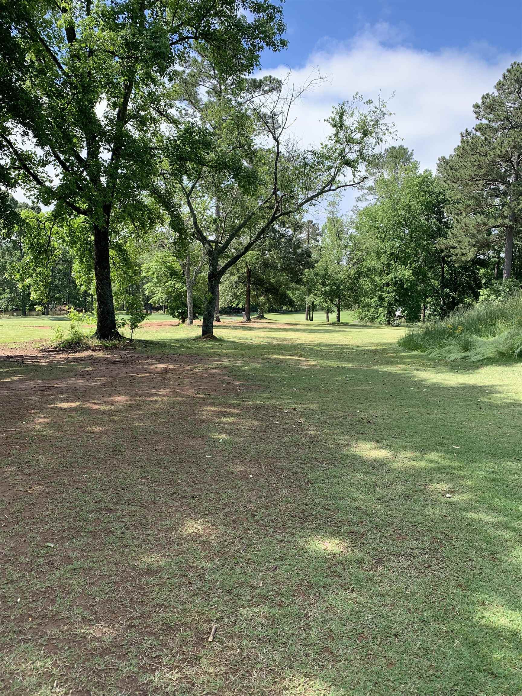 397 Tournament Point, Duncan, South Carolina image 12