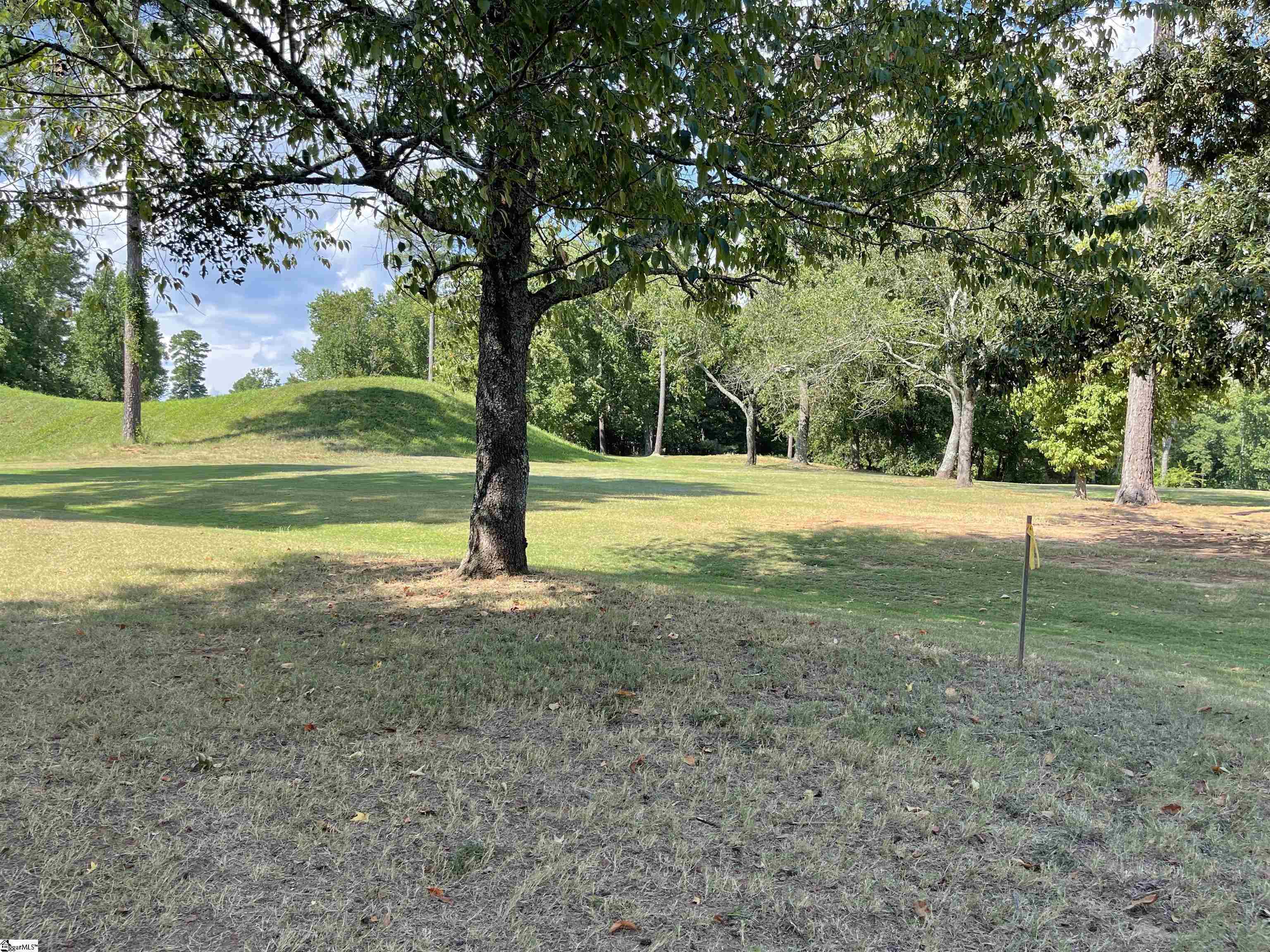 397 Tournament Point, Duncan, South Carolina image 8