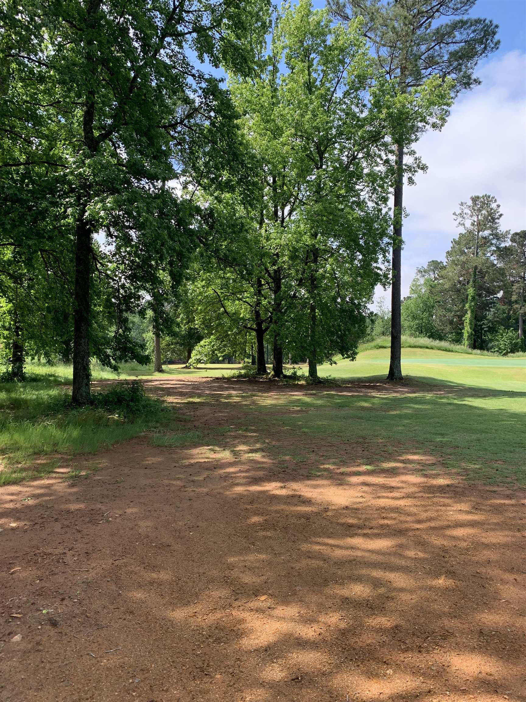 397 Tournament Point, Duncan, South Carolina image 14
