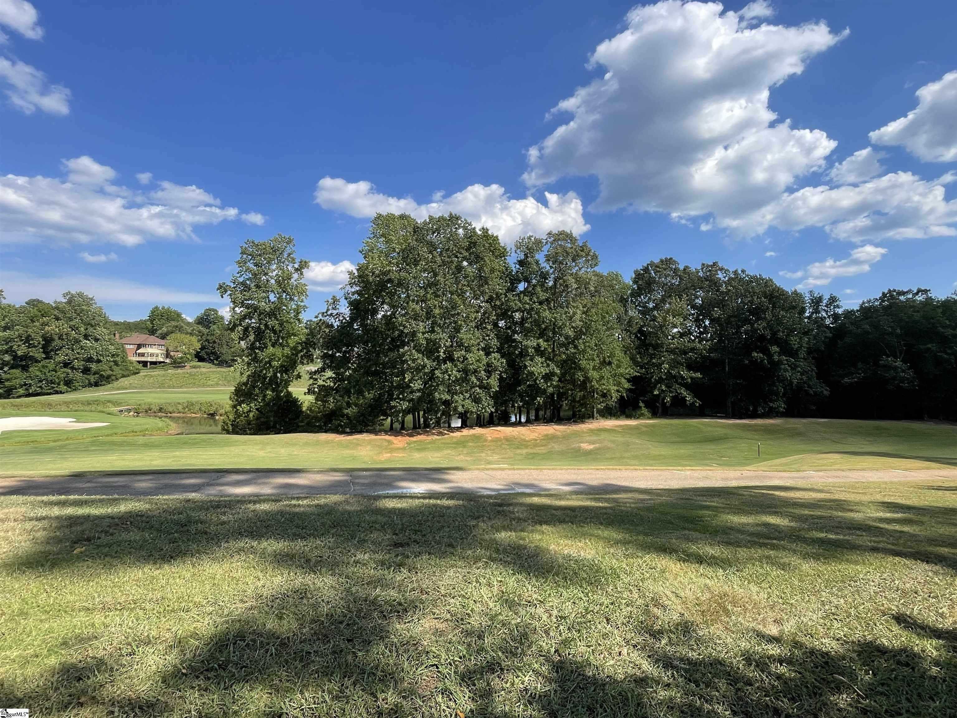 397 Tournament Point, Duncan, South Carolina image 7
