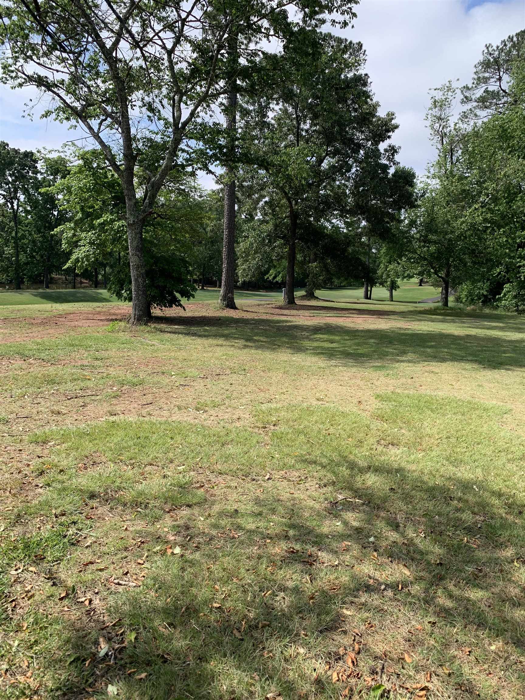397 Tournament Point, Duncan, South Carolina image 17