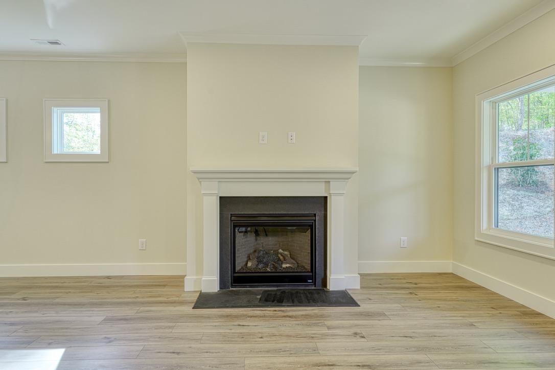 455 Brunswick Lane, Inman, South Carolina image 3